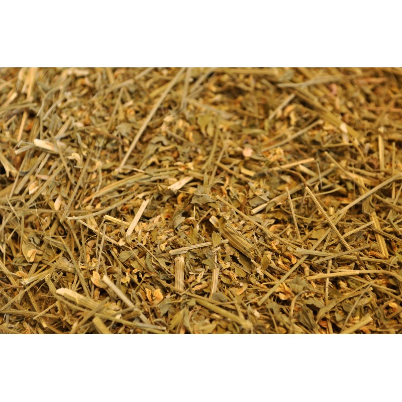 Meliloto - sommità fiorite Meliloto - sommità fiorite