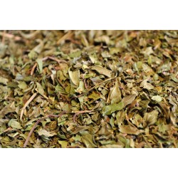 Menta piperita - foglie