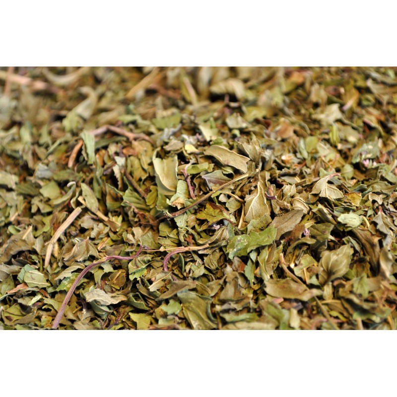 Menta piperita - foglie Menta piperita - foglie