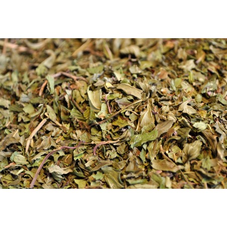 Menta piperita - foglie