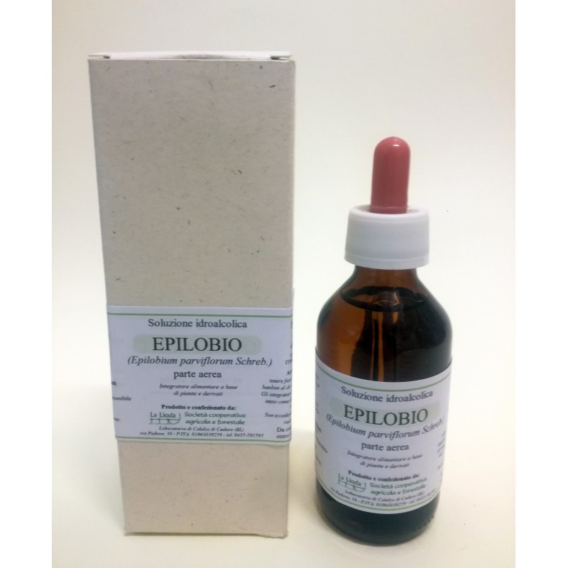 Epilobio (epilobio a fiore piccolo) - gocce Epilobio (epilobio a fiore piccolo) - gocce