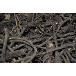 Imperatoria (Peucedanum ostruthium) - radici intere