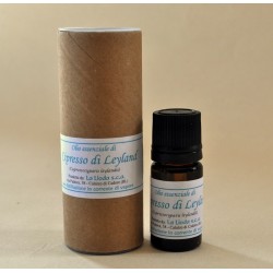 Olio essenziale di cipresso di Leyland