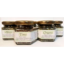 Menta greca (Chrysanthemum balsamita)