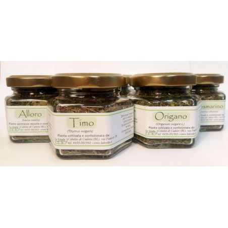 Menta greca (Chrysanthemum balsamita)